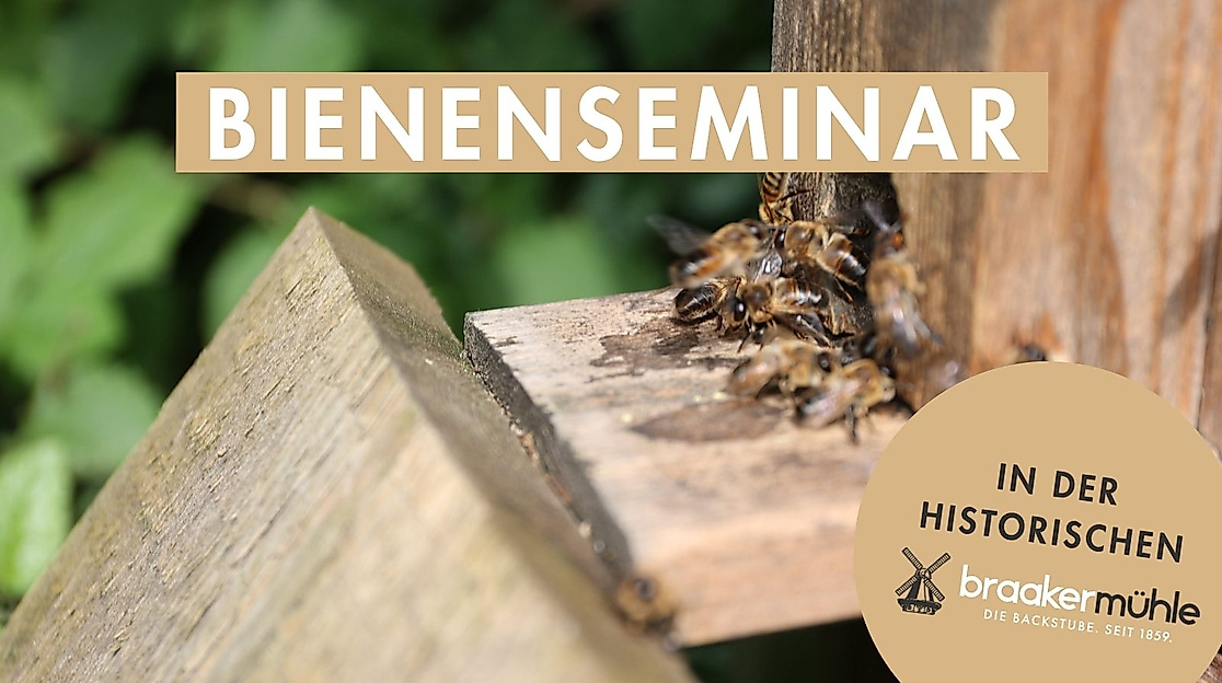 Bienenseminar am 13.6.26 in der historischen Braker Mühle in Braak
