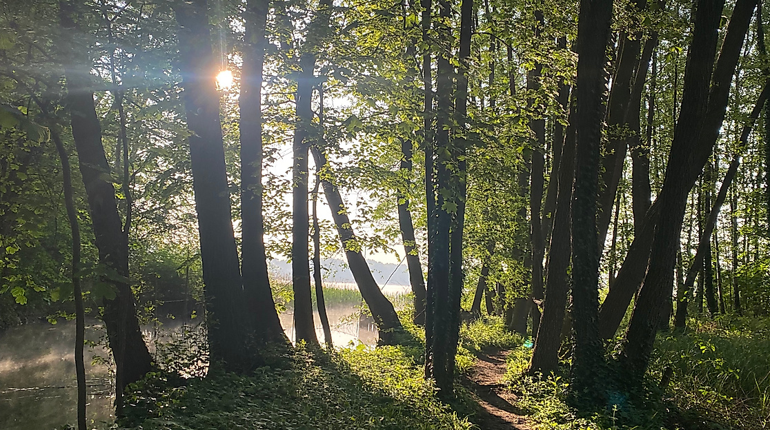 Sommerhaus Wanderung Wald