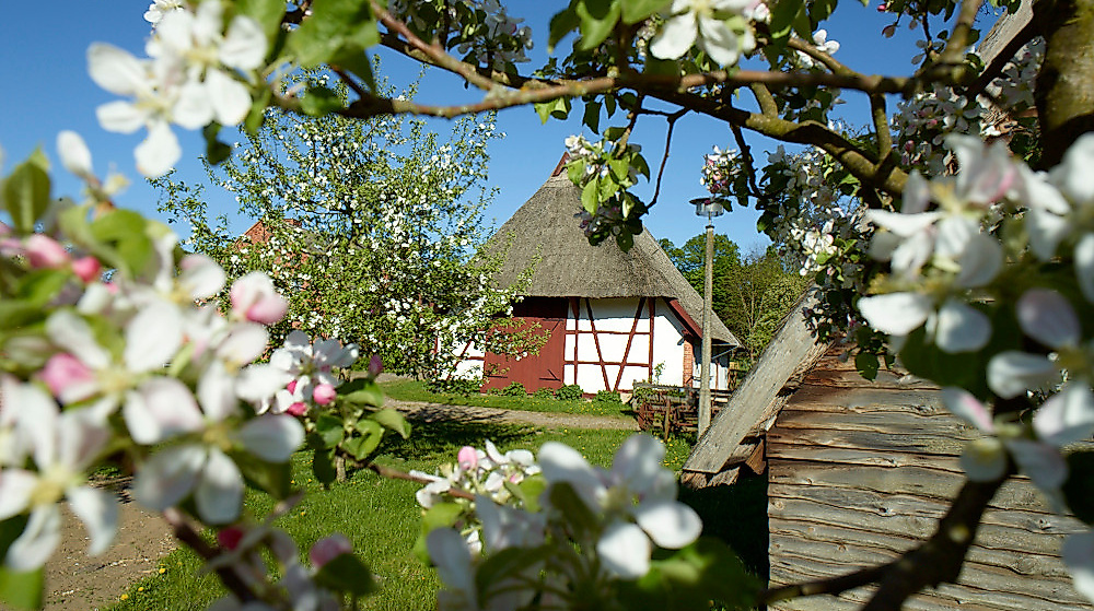 freilichtmuseum_fuer_volkskunde_5
