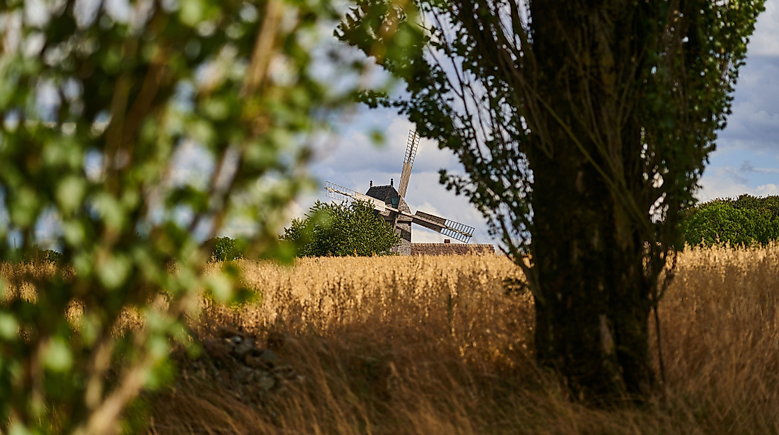 windmuehle-aurora-borstel-route-altes-land-c-unsplash-ingo-doerrie