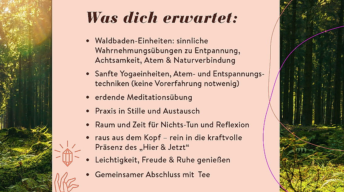 Yoga und Waldbaden in der Natur in Hamburg