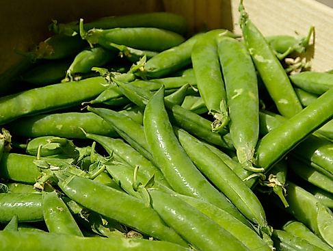 wochenmarkt_14cpixabay