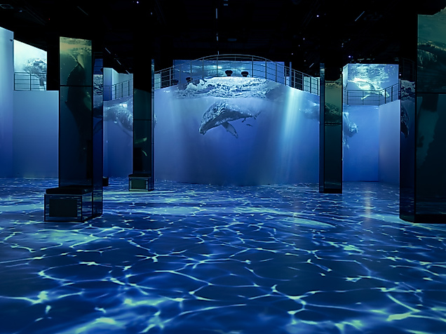 Unterwasserwelt-Ausstellung