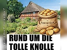 Rund um die tolle Knolle
