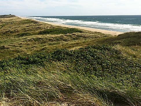 Kinderfreiziet nach Sylt