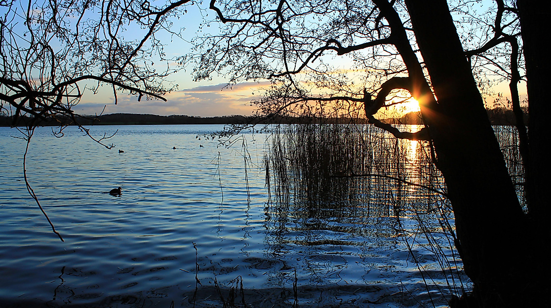 segeberger_see_c-nika1209_pixabay_4343628