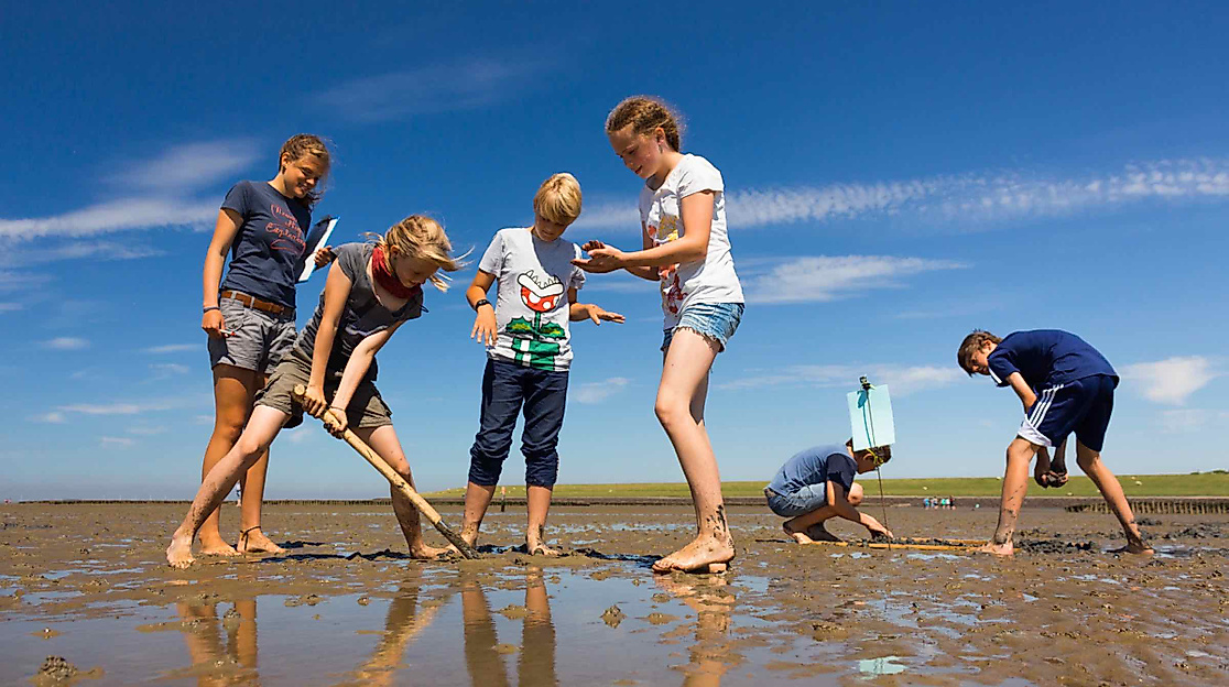 Wattwanderung für Familien: Das Watt entdecken!