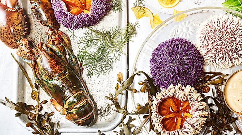 Menüabend - Hummermenü