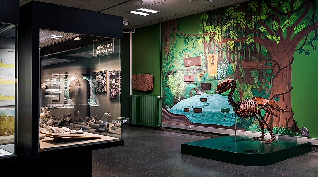 Museum der Natur Hamburg - Zoologie