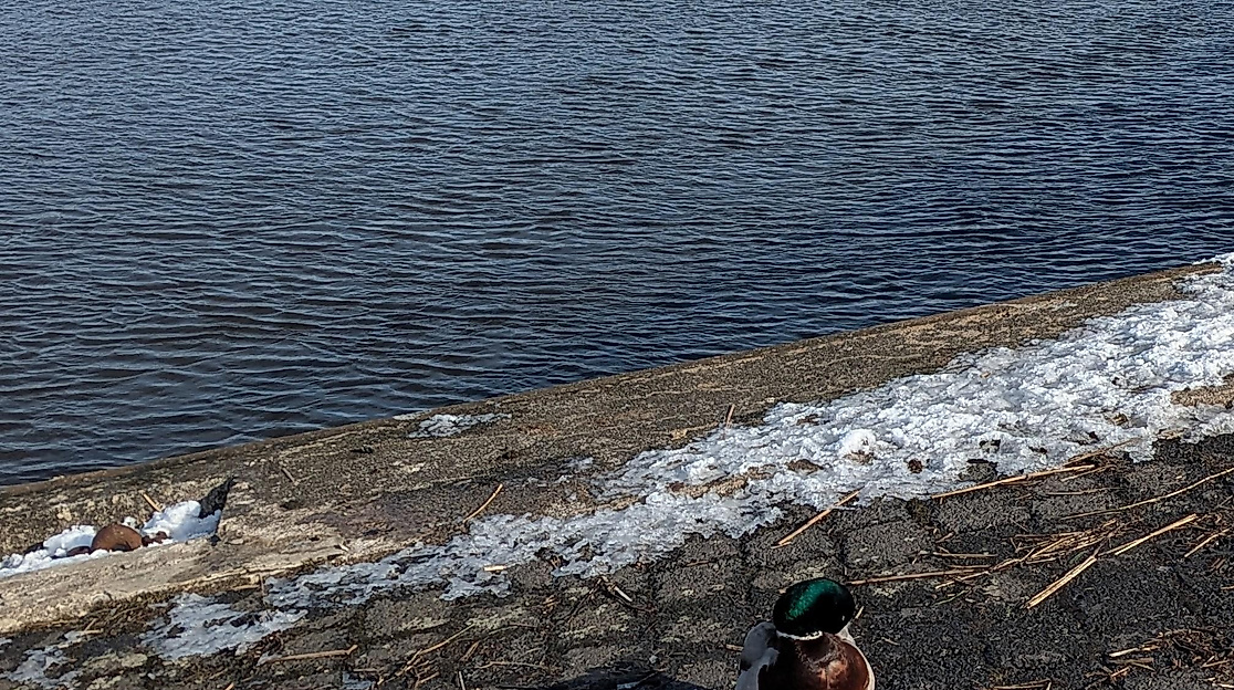 Pilgern auf historischen Spuren - "Vom Eise befreit..."