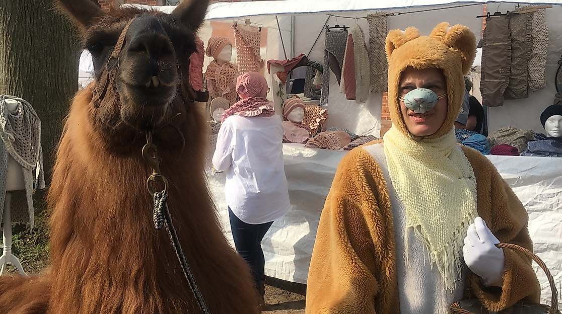Der Osterhase verteilt Süsses an die Kinder, Ponyreiten, Kinderkarusell und die zutraulichen Alpakas.