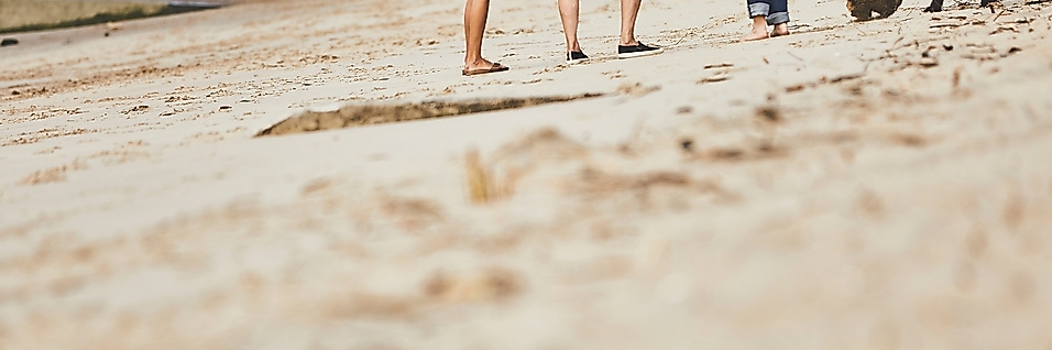 Menschen und Hunde am Elbstrand mit Blick auf die Elbe und den Hamburger Hafen im Hintergrund