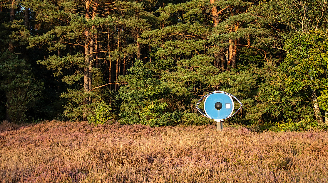 Das blaue Auge vom Schillohsberg