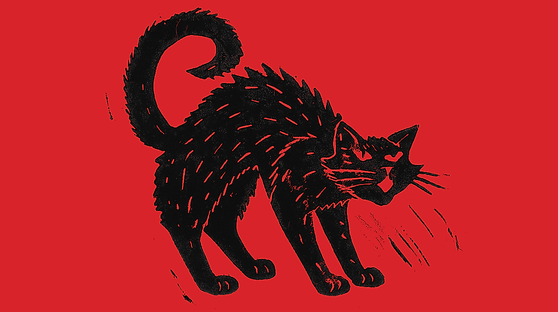 Pussy, Power, Perspektiven