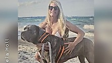 Fitness mit Hund - Fitnesstraining mit deinem Vierbeiner