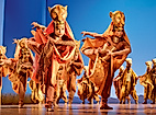 Ein Szenebild aus dem Musical Disneys Der König der Löwen mit verkleideten Löwinnen am tanzen.