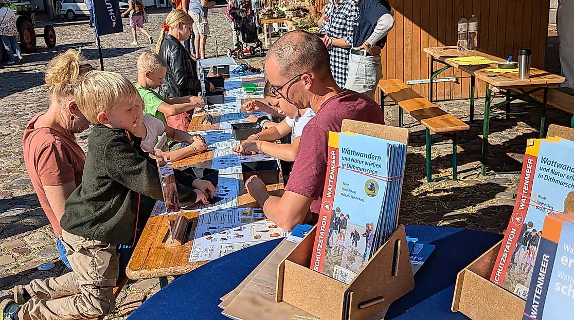 Infostand Schutzstation Wattenmeer Meldorf