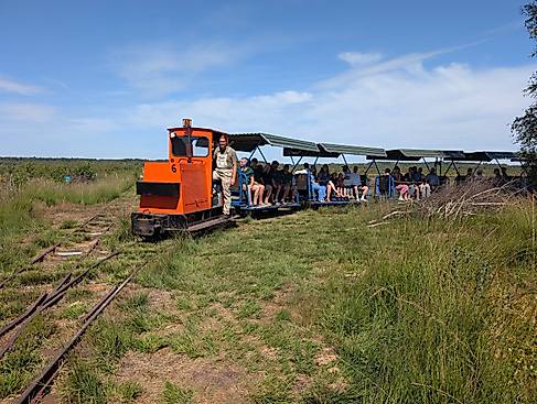 Torfbahn mit Besucher im Himmelmoor