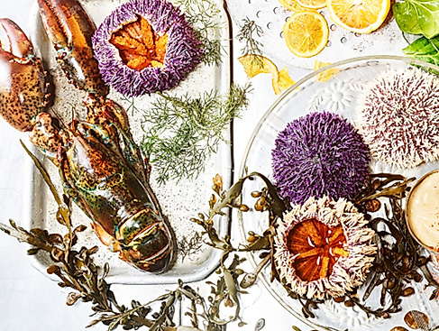 Menüabend - Hummermenü