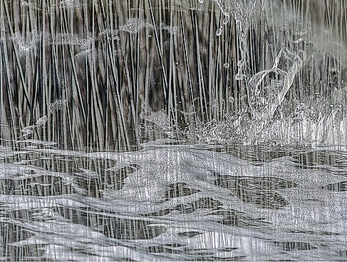 Ausstellungseröffnung "nah am Wasser"