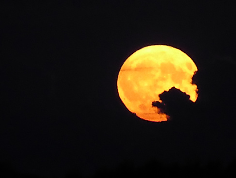 Vollmond-Nacht-Wanderung