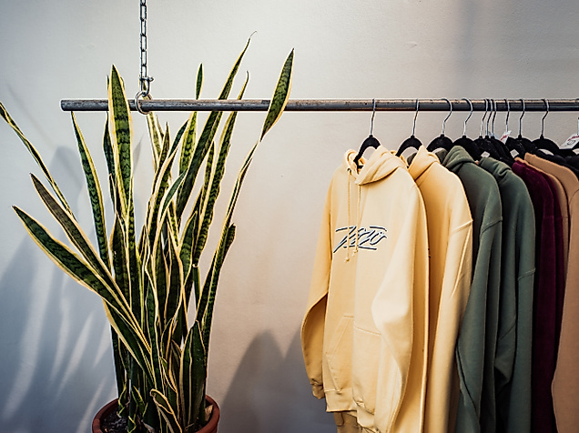 Streetwear in Naturtönen an Kleiderstange mit Zimmerpflanze im Mojo Store im Hamburger Schanzenviertel