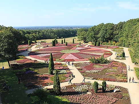 Wanderung im Höpen mit Heidegarten und Arboretum