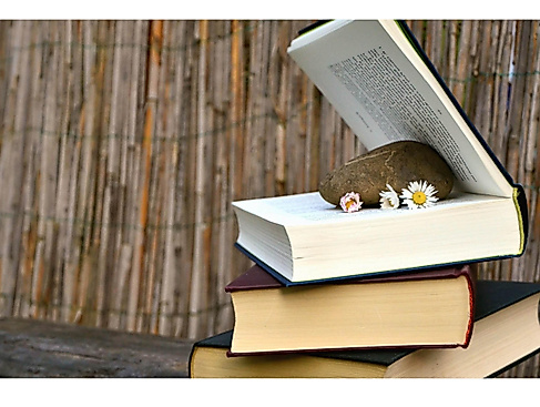 Autorenlesung mit Sabine Latzel