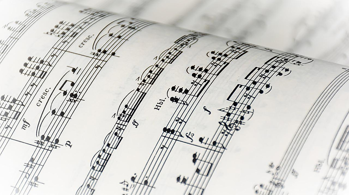 Image by Ri Butov from Pixabay