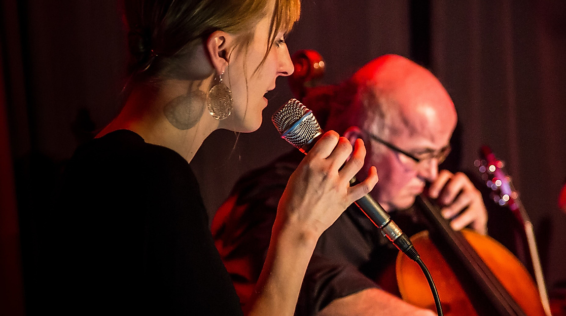 Anna Bertram (Klavier und Gesang) und Peter Köhler (Cello) sind ebenso dabei, wie Ahmad Shoaib Haidary (Gitarre), Zabih Hidayat (Gesang und Rezitation) oder Jörg-Rüdiger Geschke (Gitarre und Rezitation), Ahmad Samim Zafar (Rubab) oder Khayrullo Dadeboev (Percussion).