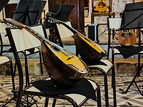 Langendorfer Mandolienenorchester