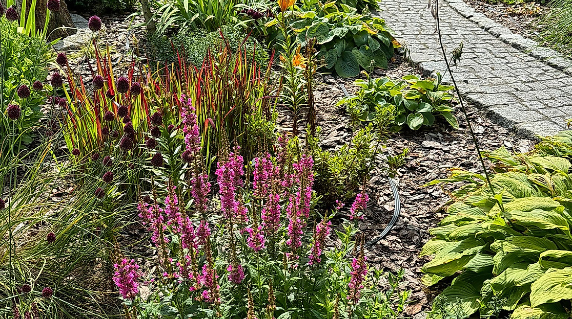 Beet im Garten Hengmith