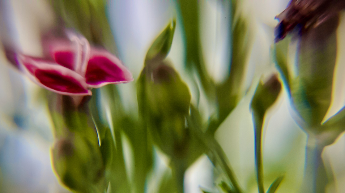 Auf der Zinne^- neuer Klang: Wirklichkeit und Traum