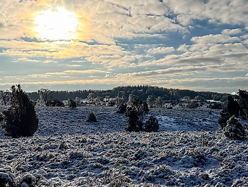Neujahrswanderung 2026