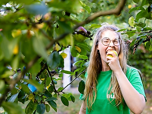 Erntefest BUND HH Joerg Farys