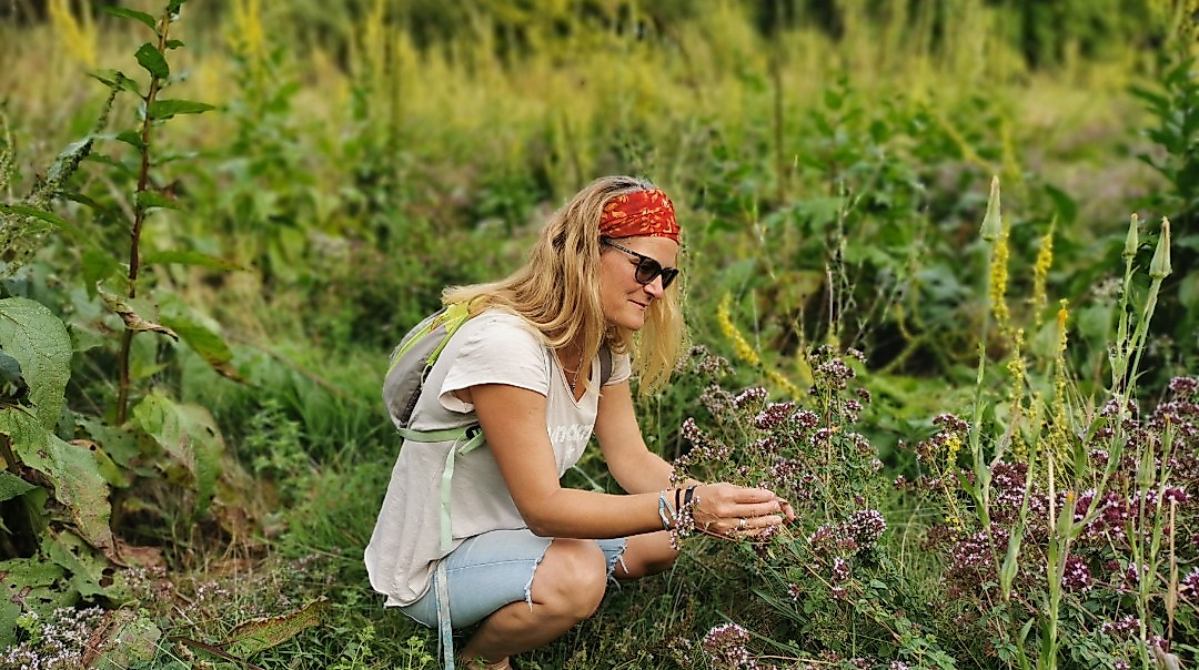 Klassische Kräuterwanderung