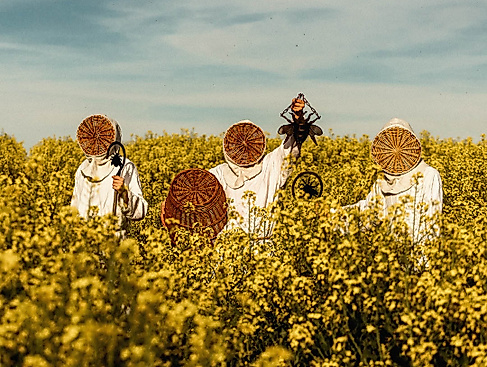 Vígljós