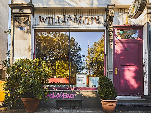 williamine_c-2018-thisisjulia-photography-4