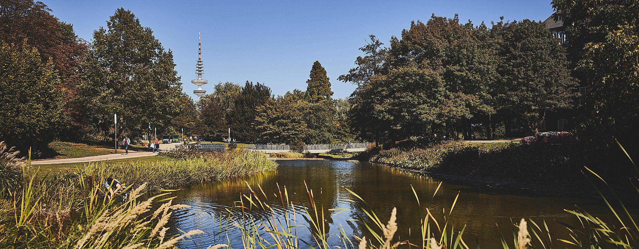 planten-un-blomen_c-2018-thisisjulia-photography-1
