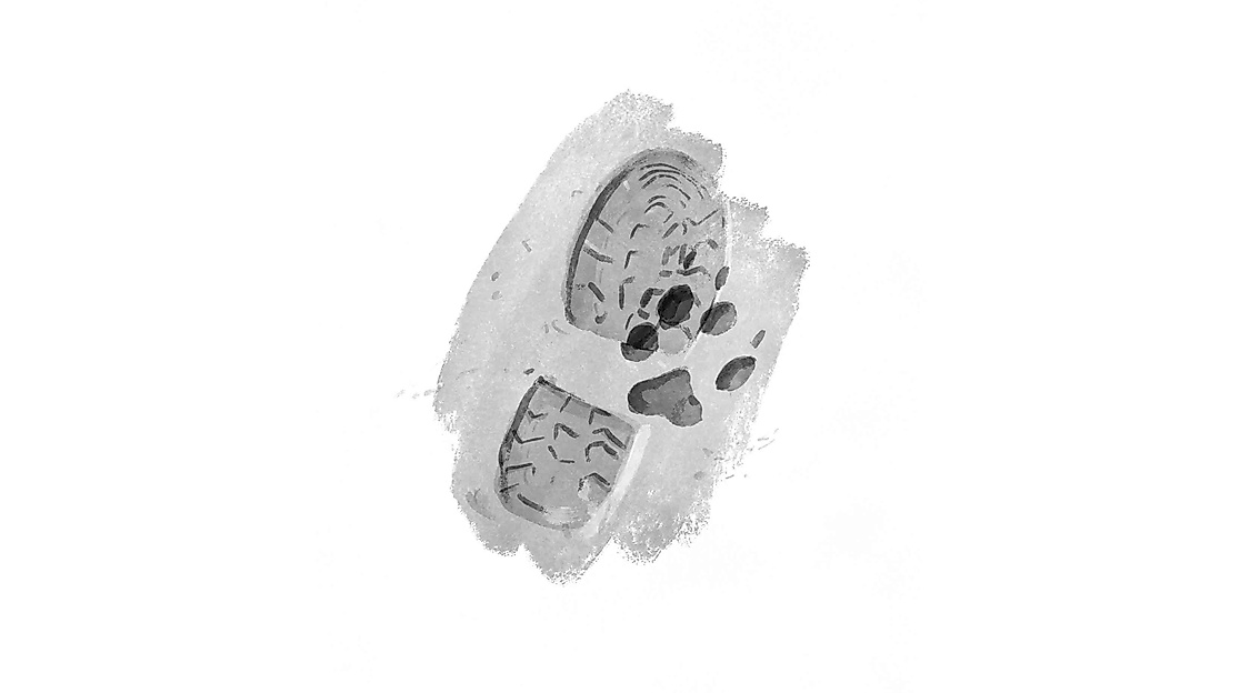Schuh- und Pfotenabdruck
