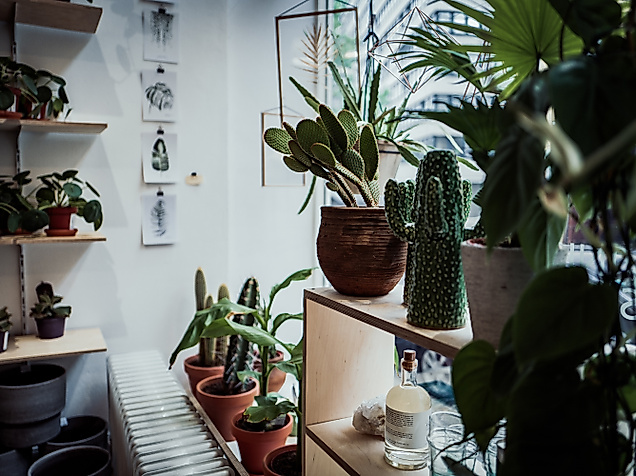 Vielfalt an Zimmerpflanzen und Keramik im lichtdurchfluteten Concept Store Winkel van Sinkel in Hamburg