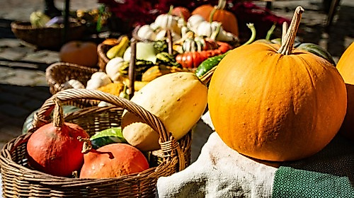 Erntedank-Gottesdienst auf dem Markt mit Pastorin Inga Meißner und Pröpstin Petra Kallies