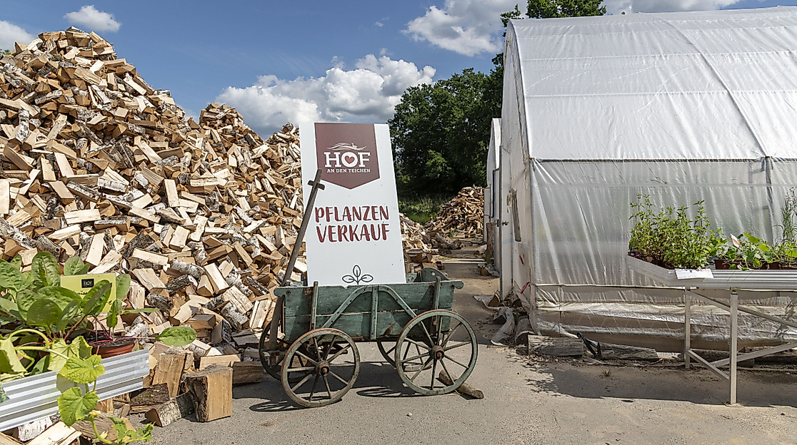 Hof an den Teichen_Pflanzenmarkt