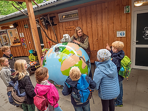 Wingster Waldzoo