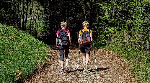26-10-05 Nordic Walking ©pixabay