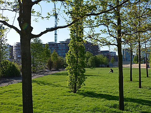 HafenCity Lohsepark