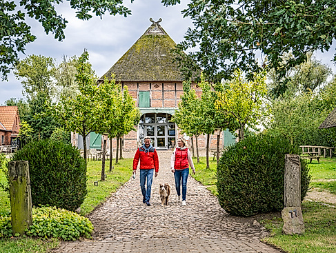 5. Pflanzentauschbörse