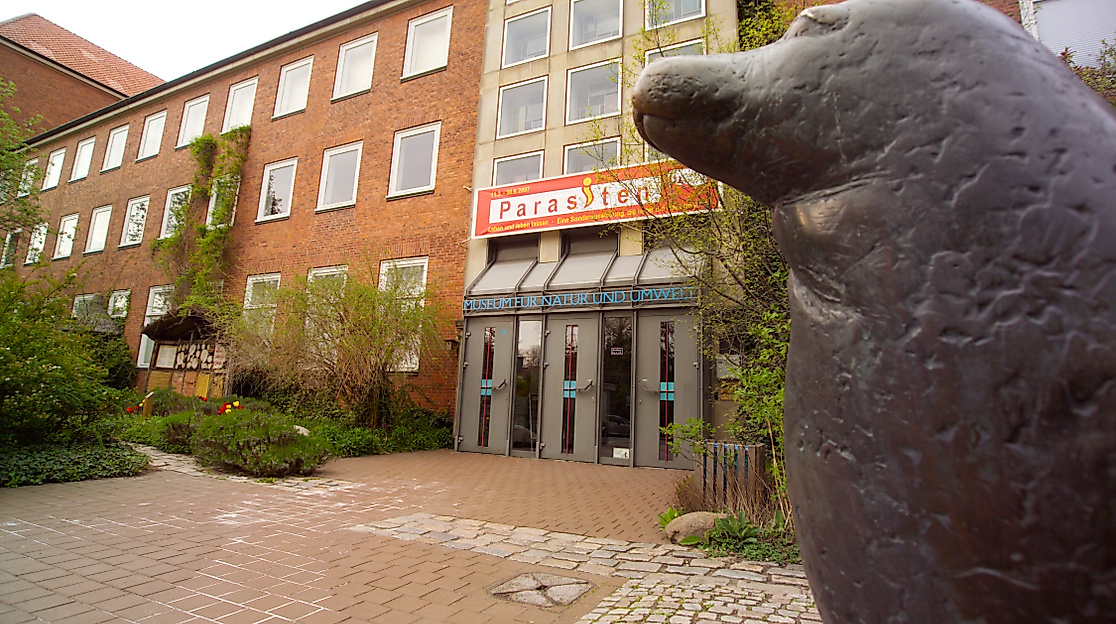 Museum für Natur und Umwelt_c. Michael Haydn_Lübecker Museen