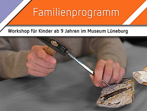 Fossilien präparieren für Kinder – Aus der Natur in die Vitrine