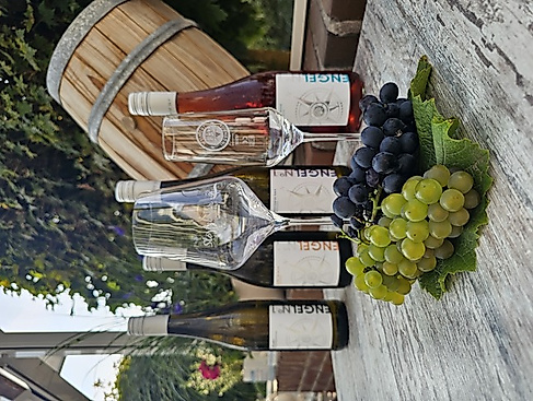 Winzer-Dinner im Restaurant Störtebeker